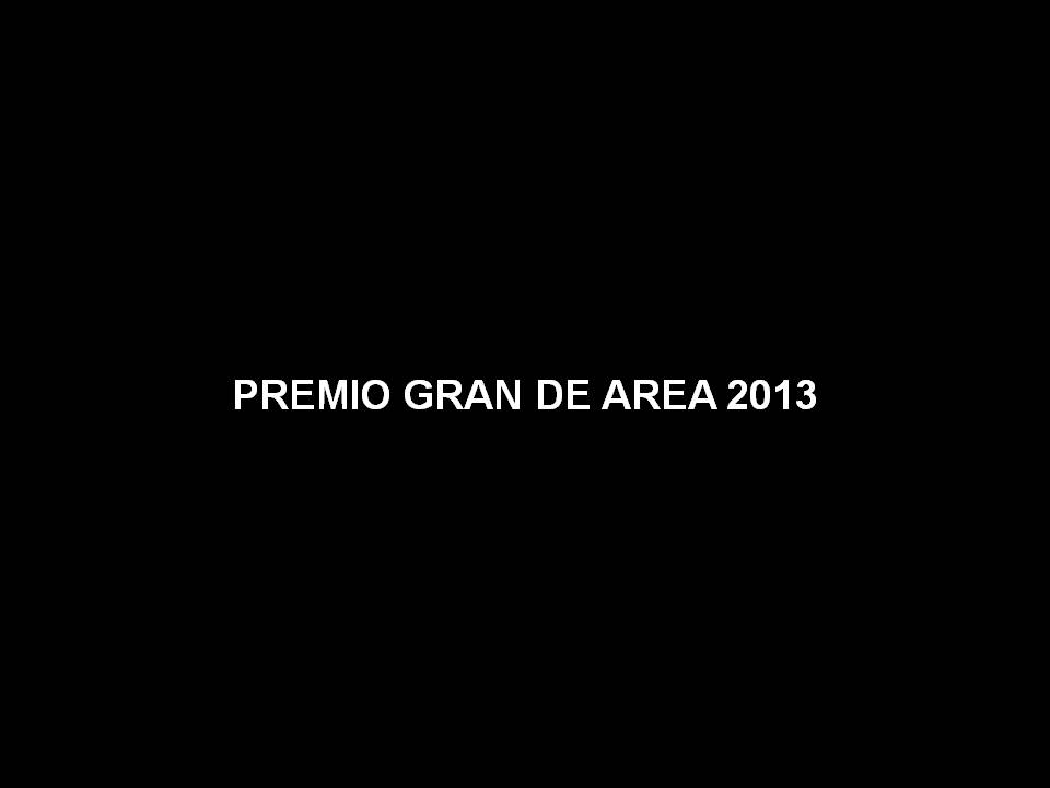 La LONJA de Vilanova de Arousa PREMIO GRAN DE AREA 2013